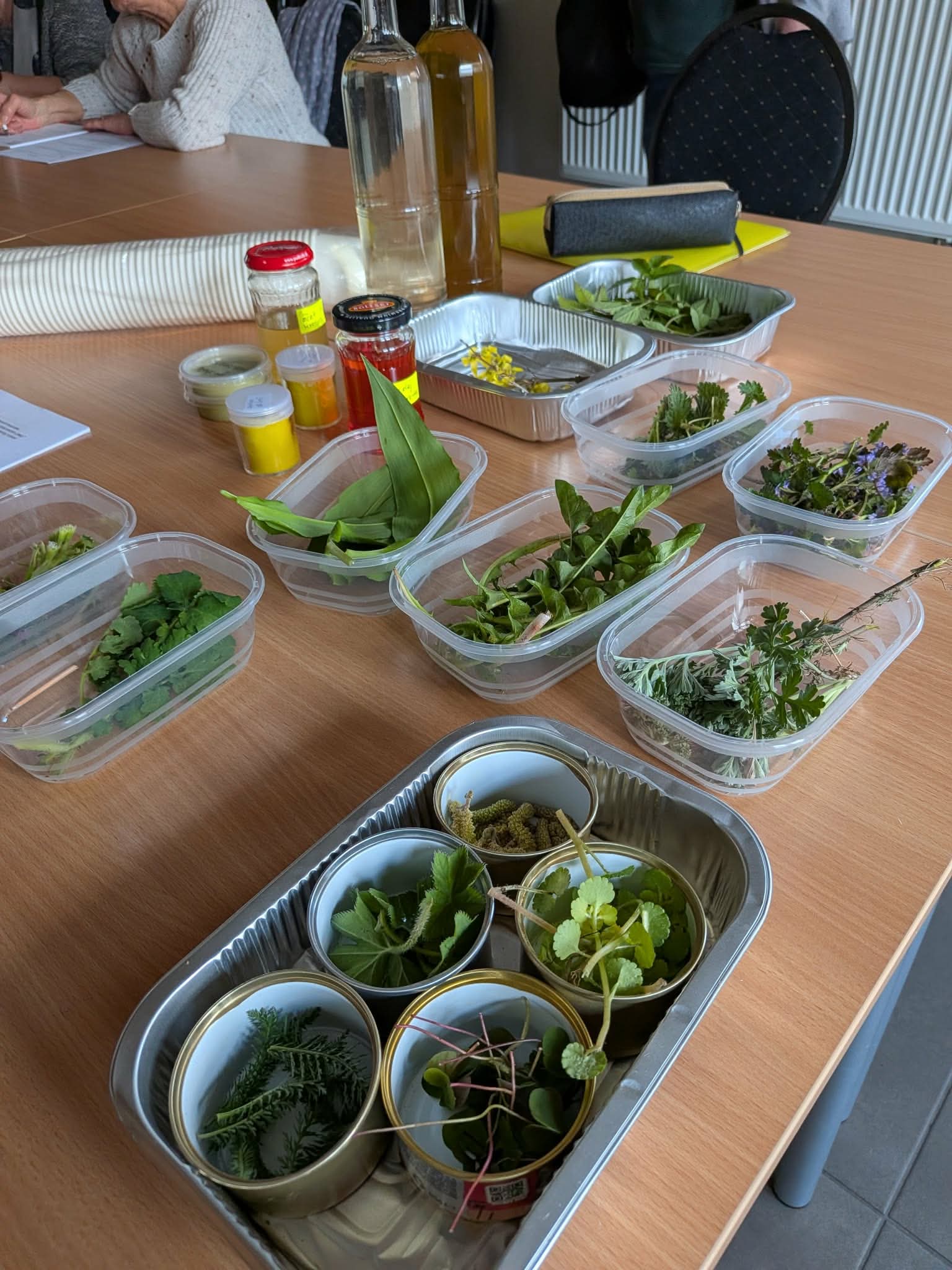 Pasje 3-ciego Wieku – II. Kolejne warsztaty, tym razem zioła w roli głównej.